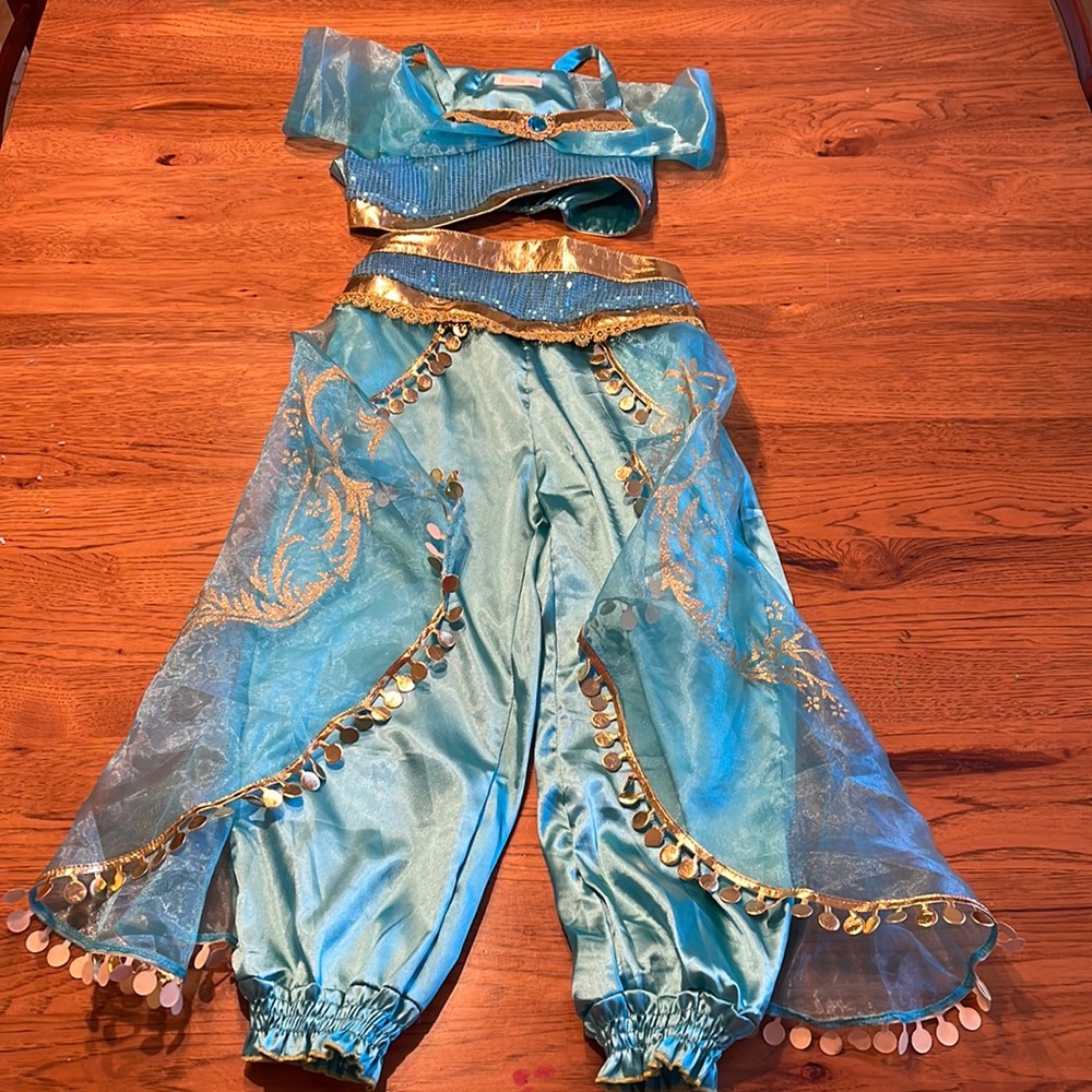 Jasmine costume Sz M